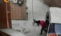 最新偷鱼爆料新闻,揭秘黑幕，渔民权益再受挑战